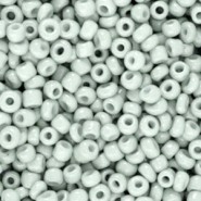 Seed beads 8/0 (3mm) Light green ash